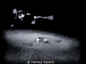 Night Dive Exploration by Henley Spiers 